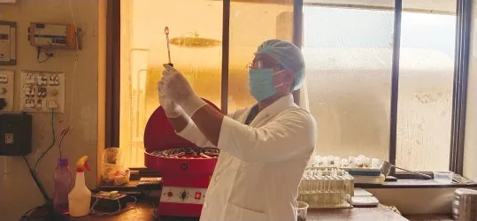 testing lab